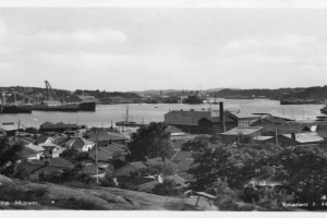 Bilde av Utsikt fra Preståsen 1925